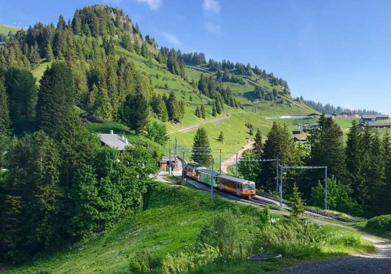 Hotel Maison De Montagne De Bretaye Acces Par Le Train Arret Bouquetin *